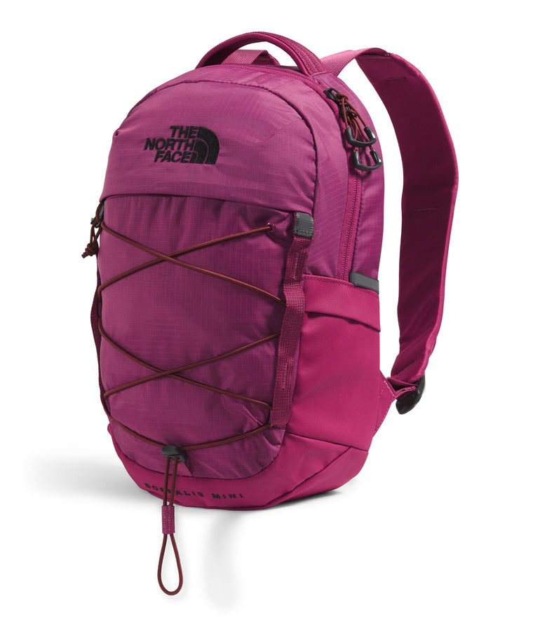 The North Face Borealis Mini sac à dos